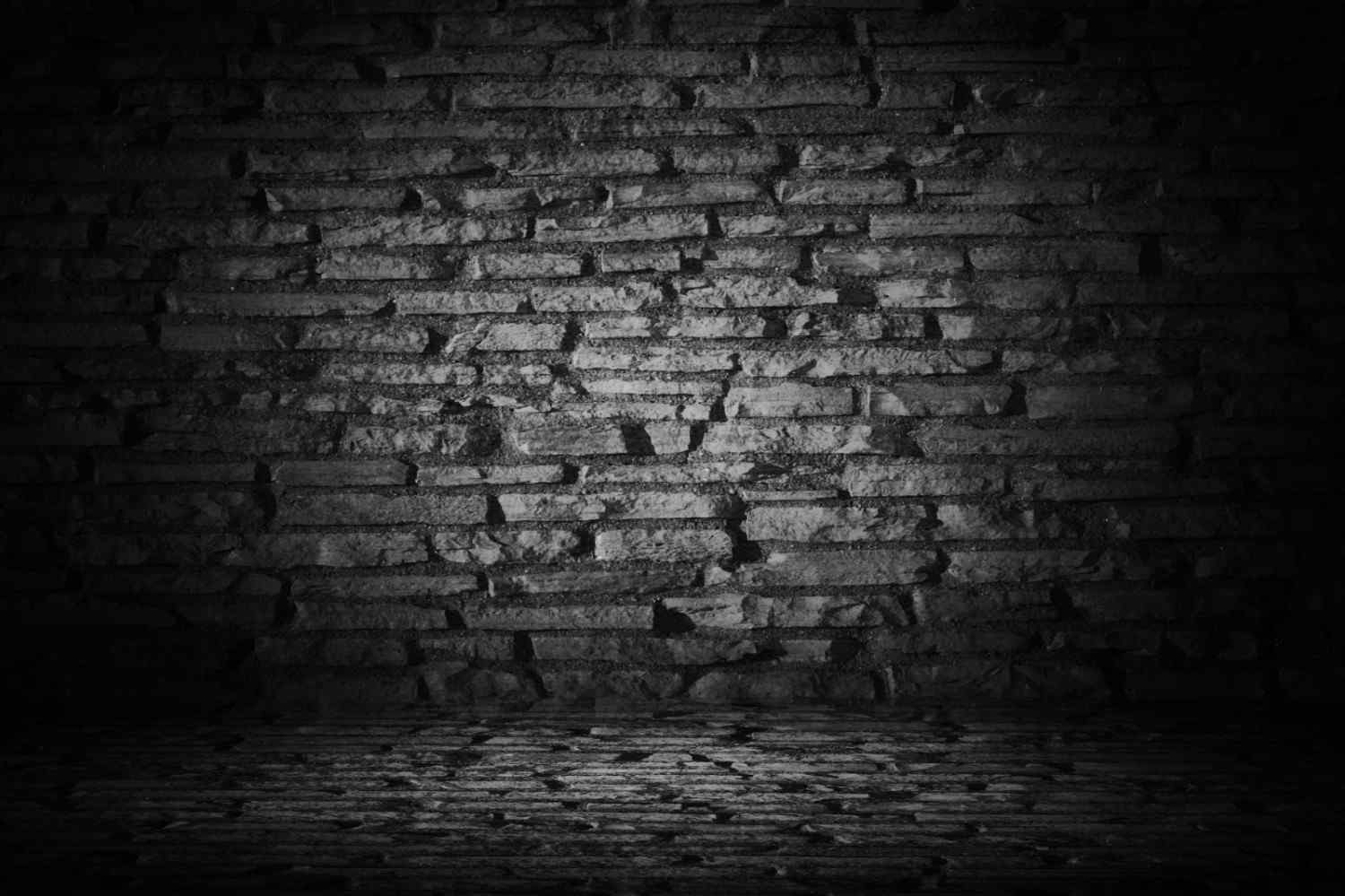 Pared de ladrillos oscuros